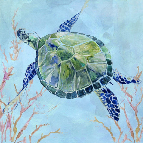 Sea Turtle II White Modern Wood Framed Art Print with Double Matting by Robinson, Carol