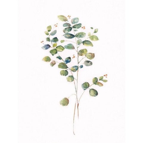 Eucalyptus I White Modern Wood Framed Art Print by Swatland, Sally