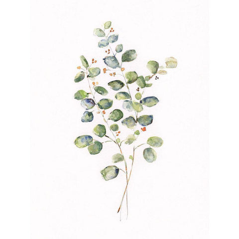 Eucalyptus II White Modern Wood Framed Art Print by Swatland, Sally