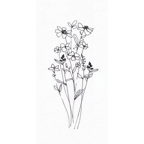 Wildflowers Sketch I Black Modern Wood Framed Art Print with Double Matting by Swatland, Sally