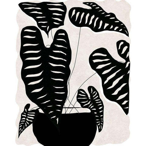 Black and White Potted Plant II Black Modern Wood Framed Art Print with Double Matting by Santiago, Daniela