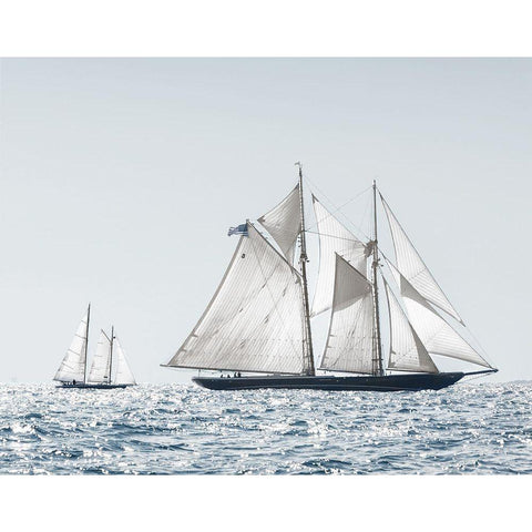 Cape Ann Sails Black Modern Wood Framed Art Print with Double Matting by Delimont, Danita
