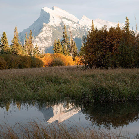 Mountain Reflection Gold Ornate Wood Framed Art Print with Double Matting by Robinson, Carol