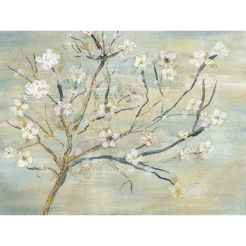 Blossoms And Spring Rain Black Modern Wood Framed Art Print with Double Matting by Jill, Susan