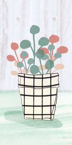 Potted Posies III White Modern Wood Framed Art Print with Double Matting by Jill, Susan