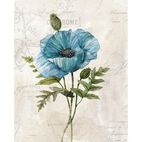 Linen Poppy Black Modern Wood Framed Art Print with Double Matting by Robinson, Carol