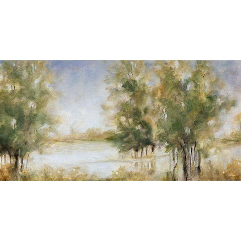 Waterway Grove Black Modern Wood Framed Art Print with Double Matting by Robinson, Carol