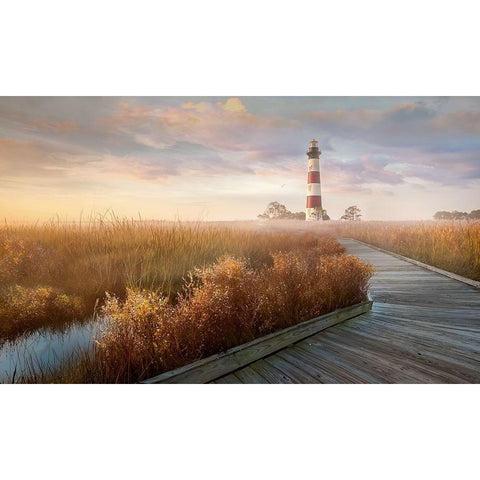 Private Path I Black Modern Wood Framed Art Print by Calascibetta, Mike