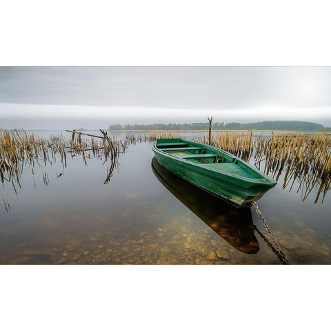 Green One Black Modern Wood Framed Art Print with Double Matting by Calascibetta, Mike