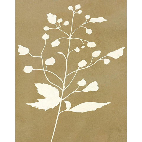Honey Botanical II Black Modern Wood Framed Art Print by Jill, Susan
