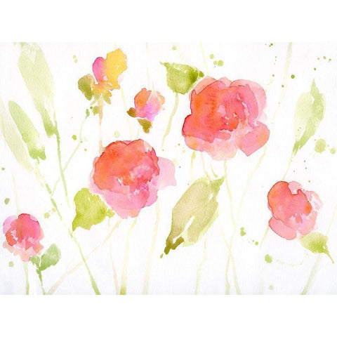 Wild Roses I White Modern Wood Framed Art Print by Swatland, Katie