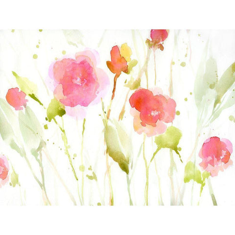 Wild Roses II Black Modern Wood Framed Art Print by Swatland, Katie