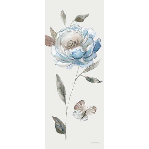 Frosted Blue Rose Black Modern Wood Framed Art Print with Double Matting by Robinson, Carol