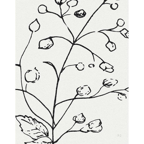 Botanical Sketch I Black Modern Wood Framed Art Print with Double Matting by Jill, Susan