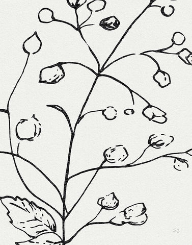 Botanical Sketch I White Modern Wood Framed Art Print with Double Matting by Jill, Susan