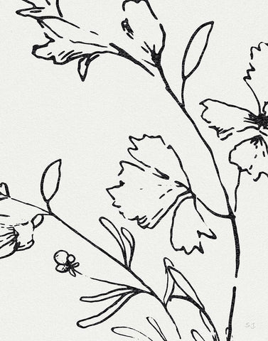 Botanical Sketch II White Modern Wood Framed Art Print with Double Matting by Jill, Susan
