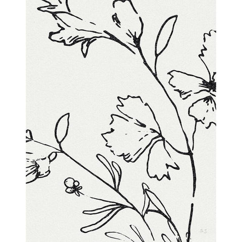 Botanical Sketch II White Modern Wood Framed Art Print by Jill, Susan