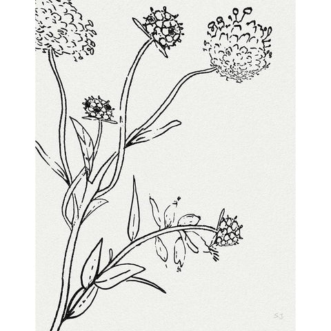 Botanical Study I Gold Ornate Wood Framed Art Print with Double Matting by Jill, Susan