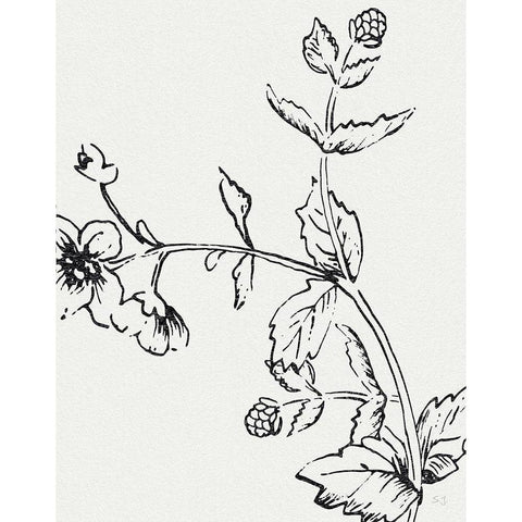 Botanical Study II Gold Ornate Wood Framed Art Print with Double Matting by Jill, Susan