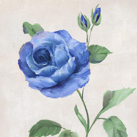 Blue Grandiflora I White Modern Wood Framed Art Print by Nan