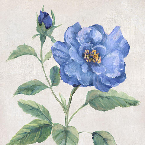 Blue Grandiflora II Black Ornate Wood Framed Art Print with Double Matting by Nan