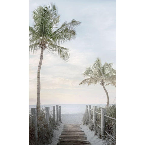 Palm Walk Black Modern Wood Framed Art Print with Double Matting by Calascibetta, Mike