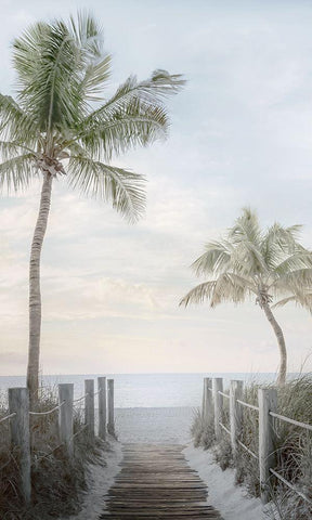 Palm Walk White Modern Wood Framed Art Print with Double Matting by Calascibetta, Mike