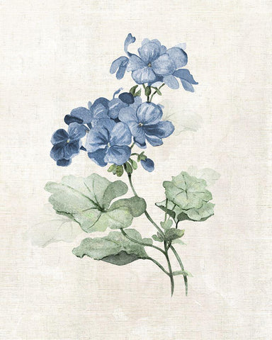 Farmhouse Periwinkle I White Modern Wood Framed Art Print with Double Matting by Robinson, Carol