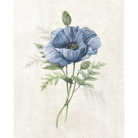 Farmhouse Periwinkle IV Gold Ornate Wood Framed Art Print with Double Matting by Robinson, Carol