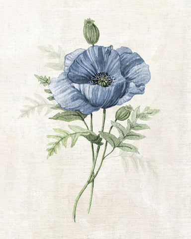 Farmhouse Periwinkle IV Black Ornate Wood Framed Art Print with Double Matting by Robinson, Carol