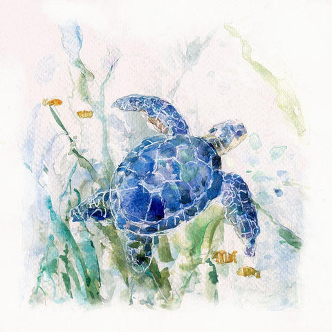 Turtle Cove I White Modern Wood Framed Art Print by Swatland, Sally