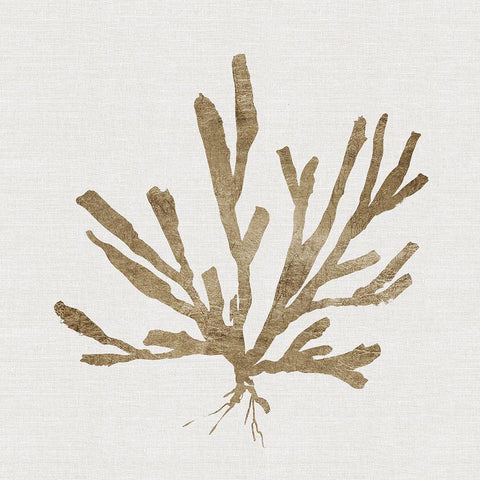 Metallic Coral I Black Ornate Wood Framed Art Print with Double Matting by Robinson, Carol