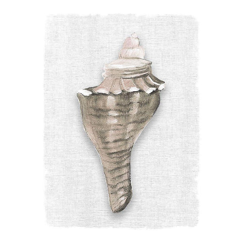 Sea Front Shell I White Modern Wood Framed Art Print by Robinson, Carol