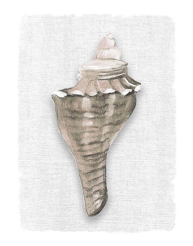 Sea Front Shell I White Modern Wood Framed Art Print with Double Matting by Robinson, Carol