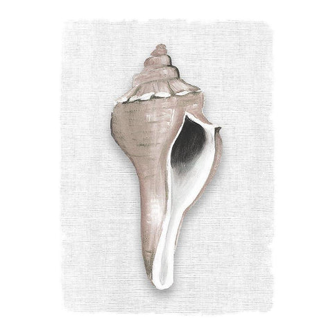 Sea Front Shell II Black Modern Wood Framed Art Print with Double Matting by Robinson, Carol