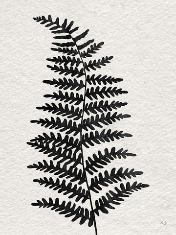Forest Fern II White Modern Wood Framed Art Print with Double Matting by Jill, Susan