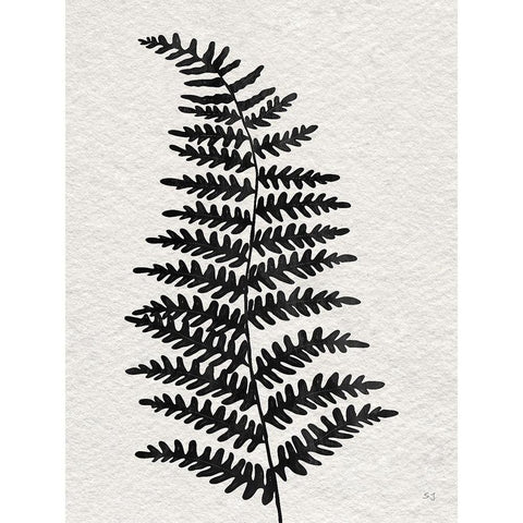 Forest Fern II Black Modern Wood Framed Art Print with Double Matting by Jill, Susan