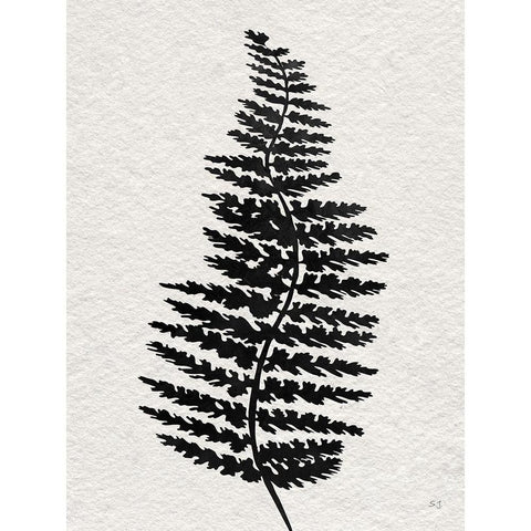 Forest Fern III White Modern Wood Framed Art Print by Jill, Susan