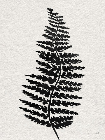 Forest Fern III Black Ornate Wood Framed Art Print with Double Matting by Jill, Susan