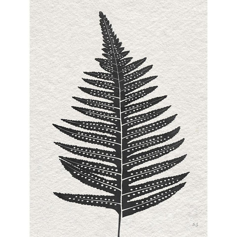 Forest Fern IV Black Modern Wood Framed Art Print with Double Matting by Jill, Susan