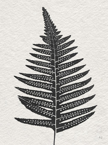 Forest Fern IV Black Ornate Wood Framed Art Print with Double Matting by Jill, Susan