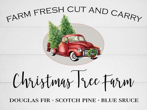 Christmas Tree Farm White Modern Wood Framed Art Print with Double Matting by Robinson, Carol