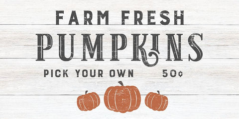 Farm Fresh Pumpkins White Modern Wood Framed Art Print with Double Matting by CAD Designs