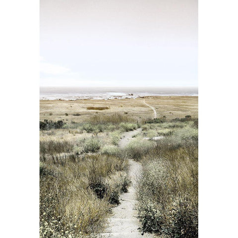 Footpath to Paradise Black Modern Wood Framed Art Print with Double Matting by Delimont, Danita