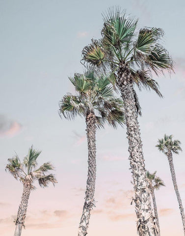 Palms Up I Black Ornate Wood Framed Art Print with Double Matting by Carpentieri, Natalie