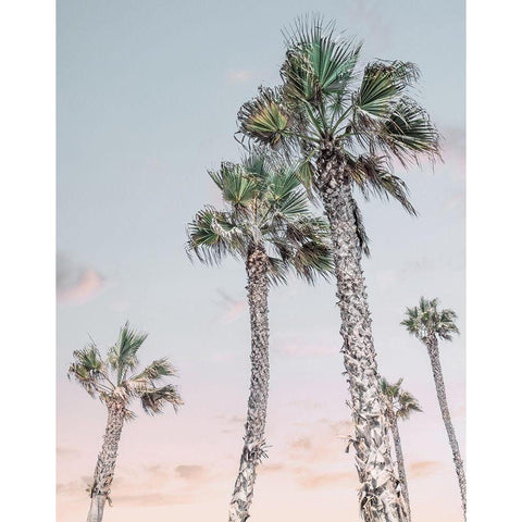 Palms Up I Black Modern Wood Framed Art Print by Carpentieri, Natalie