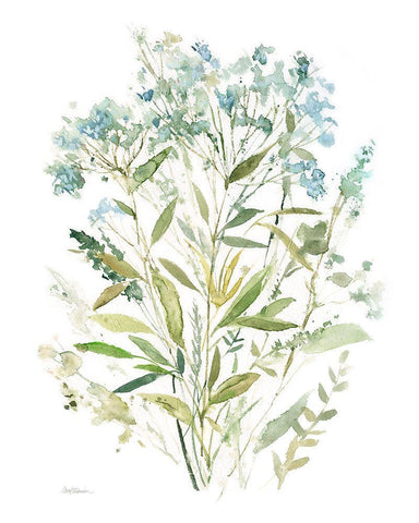 Garden Lace I White Modern Wood Framed Art Print with Double Matting by Robinson, Carol