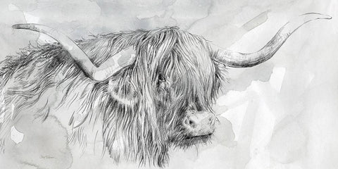 Highland Prince White Modern Wood Framed Art Print with Double Matting by Robinson, Carol