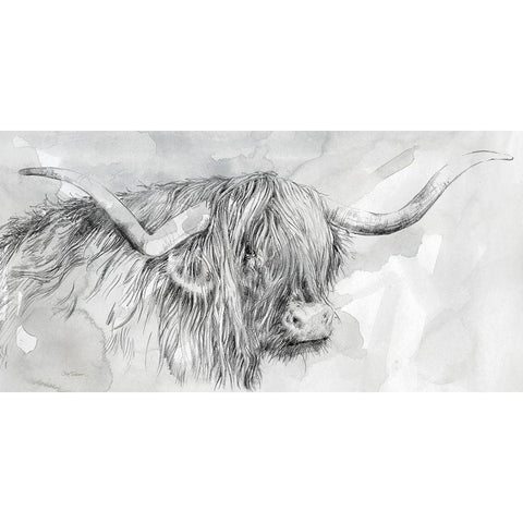 Highland Prince Black Modern Wood Framed Art Print with Double Matting by Robinson, Carol