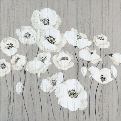 Cottage Whites Black Modern Wood Framed Art Print with Double Matting by Tava Studios